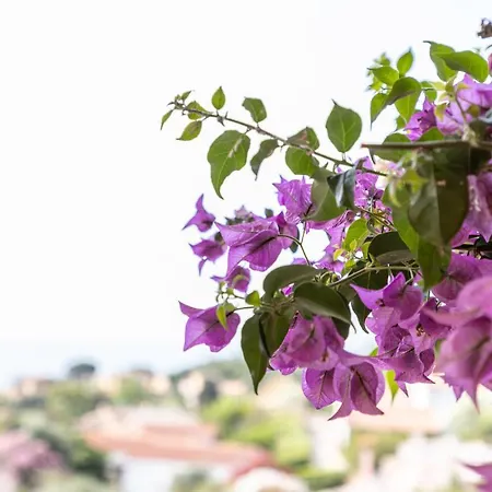 בית נופש La Terrazza 10 - Free Wifi - 700mt From The *